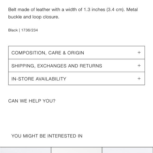 NWT Zara belt - Picture 4 of 8